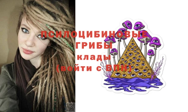 прущие крисы Богородск