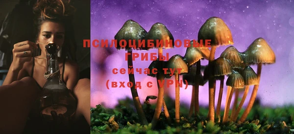 прущие крисы Богородск