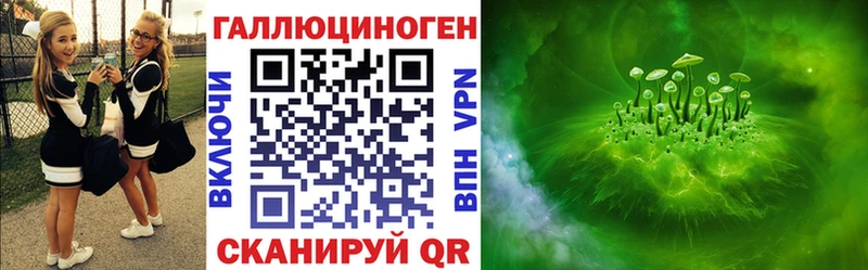 где купить   Михайлов  Галлюциногенные грибы Cubensis 